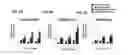 Fig. 05 - 3D tissue-engineered bone marrow for personalized therapy and drug development