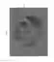 Fig. 14 - Bioactive composites of polymer and glass and method for making same
