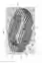 Fig. 16 - Bioactive composites of polymer and glass and method for making same