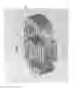 Fig. 19 - Bioactive composites of polymer and glass and method for making same