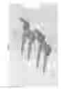 Fig. 33 - Bioactive composites of polymer and glass and method for making same