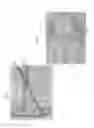 Fig. 43 - Bioactive composites of polymer and glass and method for making same