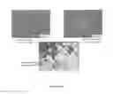Fig. 69 - Bioactive composites of polymer and glass and method for making same