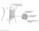 Fig. 01 - Materials for soft and hard tissue repair