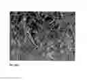 Fig. 04 - Materials for soft and hard tissue repair