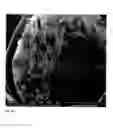 Fig. 06 - Materials for soft and hard tissue repair