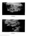 Fig. 18 - Materials for soft and hard tissue repair
