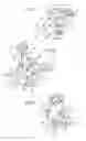 Fig. 08 - Blood processing apparatus comprising a measurement device