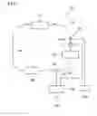 Fig. 02 - Blood circulation system