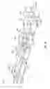 Fig. 13 - Pinch clamp