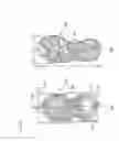 Fig. 08 - Device for analyzing athletic posture and method for generating analyzing information for athletic posture