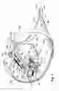 Fig. 07 - Bridle for aircraft parachute deployment rocket