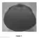 Fig. 09 - Helmet drink lid