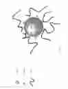 Fig. 03 - Low dust additives for joint compounds and joint compounds thereof