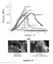 Fig. 09 - Additive Manufacturing of Polymer Derived Ceramics