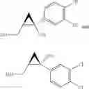 Fig. 28 - PROCESS FOR THE SYNTHESIS OF (+) AND (-)-1-(3,4-DICHLOROPHENYL)-3-AZABICYCLO[3.1.0]HEXANE