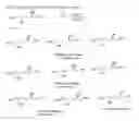 Fig. 09 - Non-ionic amphiphiles and methods of making the same