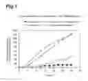 Fig. 02 - Roflumilast prodrugs