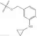 Fig. 232 - HSP70 modulators and methods for making and using the same