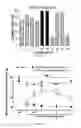 Fig. 02 - T-type calcium channel modulator and uses thereof