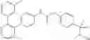 Fig. 255 - Compounds as ROR gamma modulators