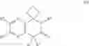 Fig. 09 - Tetrahydroisoquinoline derivatives