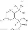 Fig. 158 - Tetrahydroisoquinoline derivatives
