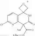 Fig. 162 - Tetrahydroisoquinoline derivatives