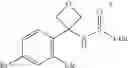 Fig. 248 - Tetrahydroisoquinoline derivatives