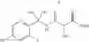 Fig. 263 - Tetrahydroisoquinoline derivatives