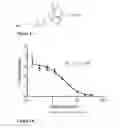 Fig. 02 - Max binders as MYC modulators and uses thereof
