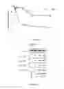 Fig. 07 - COMPOSITIONS AND METHODS COMPRISING OSMIUM FOR THE TREATMENT OF CANCERS