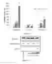 Fig. 08 - COMPOSITIONS AND METHODS COMPRISING OSMIUM FOR THE TREATMENT OF CANCERS