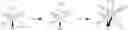 Fig. 33 - COMPOSITIONS AND METHODS COMPRISING OSMIUM FOR THE TREATMENT OF CANCERS
