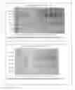 Fig. 02 - Method for separating proteins from animal or human plasma, or plants, using a pH gradient method