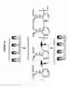 Fig. 02 - Method for molecular extraction in live cells
