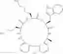 Fig. 216 - Peptide macrocycles against acinetobacter baumannii