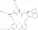 Fig. 362 - Peptide macrocycles against acinetobacter baumannii