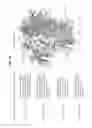 Fig. 47 - Recombinant HIV-1 envelope proteins and their use