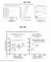 Fig. 49 - Recombinant HIV-1 envelope proteins and their use