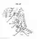 Fig. 80 - Recombinant HIV-1 envelope proteins and their use