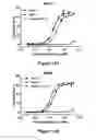 Fig. 22 - ROR1-Binding Molecules, and Methods of Use Thereof