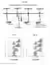 Fig. 166 - Binding-triggered transcriptional switches and methods of use thereof