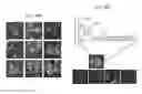 Fig. 89 - Binding-triggered transcriptional switches and methods of use thereof