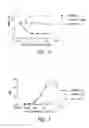 Fig. 07 - Anti-CD40 antibodies