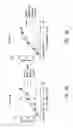 Fig. 08 - Anti-CD40 antibodies
