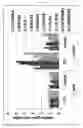 Fig. 05 - COMPOSITION FOR COMBINATION THERAPY COMPRISING ANTI-HER2 ANTIBODY AND ANTI-C-MET ANTIBODY