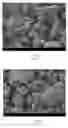Fig. 02 - Method for preparing superabsorbent resin and superabsorbent resin prepared thereby