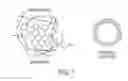 Fig. 02 - Core-shell metal nanoparticle composite