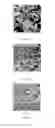 Fig. 02 - Butyl ionomer blends